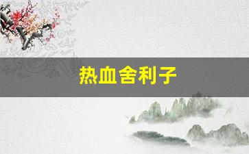 热血江湖新开区：热血舍利子(佛血舍利子)
