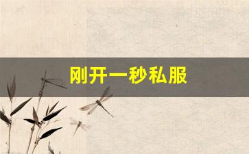 刚开一秒私服(刚开一秒单职业sf) (3)
