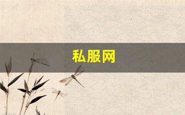 私服：私服网(手游私sf平台) (3)