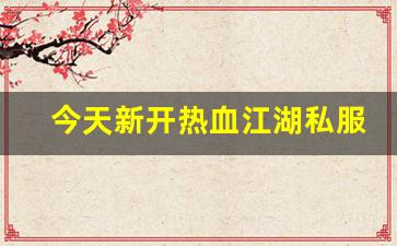 今天新开热血江湖私服 (3)