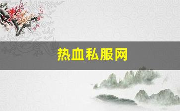 热血私服网(热血 sfc)