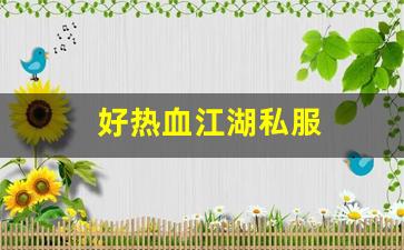 热血江湖sf：好热血江湖私服 (3)