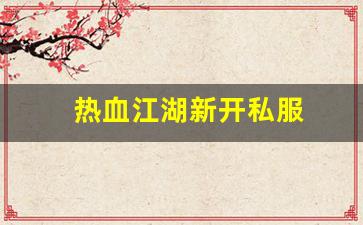 热血江湖新开私服 (13)